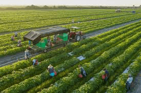Introduction and Benefits of Organic Farming Introduction and Benefits of Organic Farming