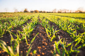 Introduction and Benefits of Organic Farming Introduction and Benefits of Organic Farming