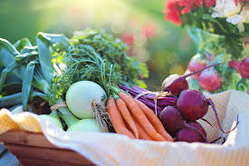 Introduction to Organic Vegetable Farming Introduction to Organic Vegetable Farming