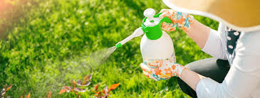 Organic Pest Control Methods and Benefits Organic Pest Control Methods and Benefits