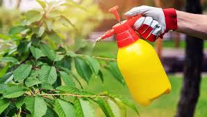 Organic Pest Control Methods and Benefits Organic Pest Control Methods and Benefits