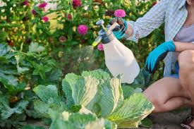 Organic Pest Control Methods and Benefits Organic Pest Control Methods and Benefits