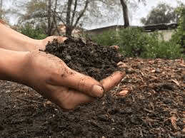 Organic Fertilizers: Types, Uses and Methods of Application