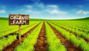 Organic Agriculture Benefits and Importance