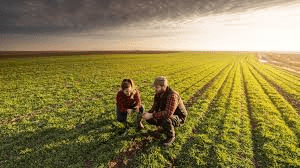 Organic Agriculture Benefits and Importance