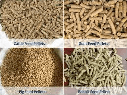 Methods of Animal Feed Formulation for Various Classes of Farm Animals