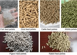 Methods of Animal Feed Formulation for Various Classes of Farm Animals