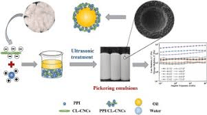 Process of Making Animal Feed Protein Isolates and Concentrates