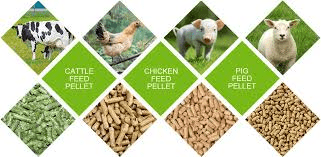 Method of Animal Feed Evaluation and its Relevance