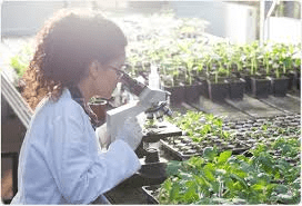 Introduction to Agricultural Biotechnology