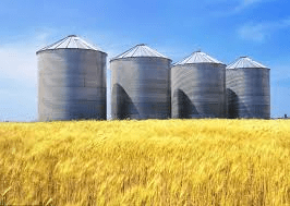 Best Environment for Crop Storage and Complete Guide Best Environment for Crop Storage and Complete Guide