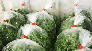 Guide on Packing and Packaging of Farm Fresh Produce