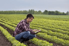 Meaning and Functions of Agribusiness Management