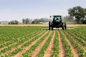 Principles and Challenges of Farming Systems Principles and Challenges of Farming Systems