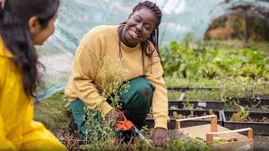 Principles and Challenges of Farming Systems Principles and Challenges of Farming Systems