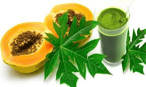 Health Benefits of Paw-Paw (Papaya) Leaves for Cancer and Others Health Benefits of Paw-Paw (Papaya) Leaves for Cancer and Others