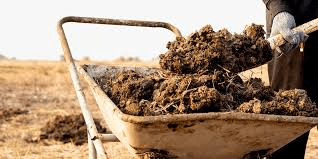 The Difference Between Manure and Fertilizers and How they Work