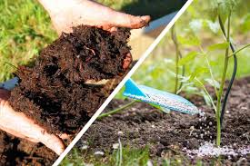 The Difference Between Manure and Fertilizers and How they Work The Difference Between Manure and Fertilizers and How they Work