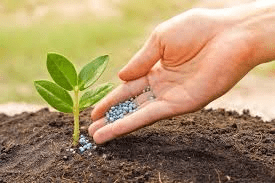 The Difference Between Manure and Fertilizers and How they Work The Difference Between Manure and Fertilizers and How they Work