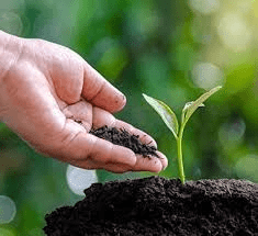 The Difference Between Manure and Fertilizers and How they Work The Difference Between Manure and Fertilizers and How they Work