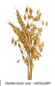 The Oat Stalks: Economic Importance, Uses, and By-Products