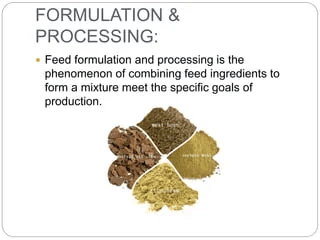 Introduction to Fish Nutrition and Formulation