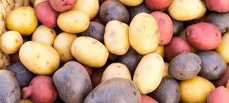 The Potato Tubers Economic Importance, Uses, and By-Products The Potato Tubers Economic Importance, Uses, and By-Products