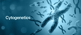 Definition and History of Cytogenetics