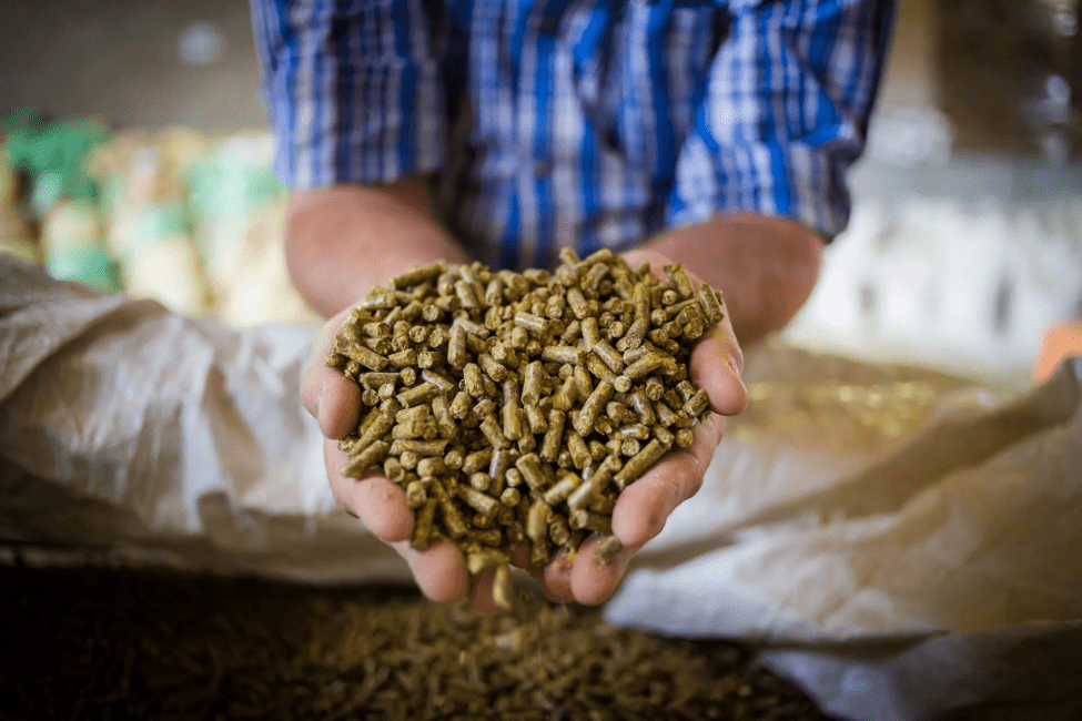 Guide to Proper Handling of Animal Feed Raw Materials