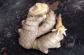 The Ginger Eyes: Economic Importance, Uses, and By-Products The Ginger Eyes: Economic Importance, Uses, and By-Products