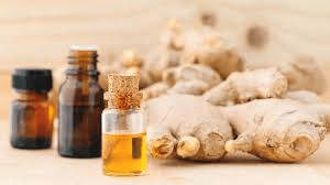 The Ginger Aroma: Economic Importance, Uses, and By-Products
