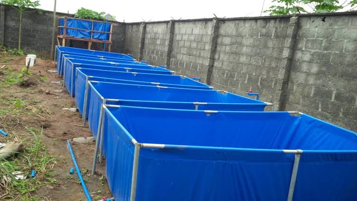 How to Make Tarpaulin Fish Pond