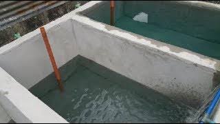 Concrete Fish Pond Construction and Farming Guide