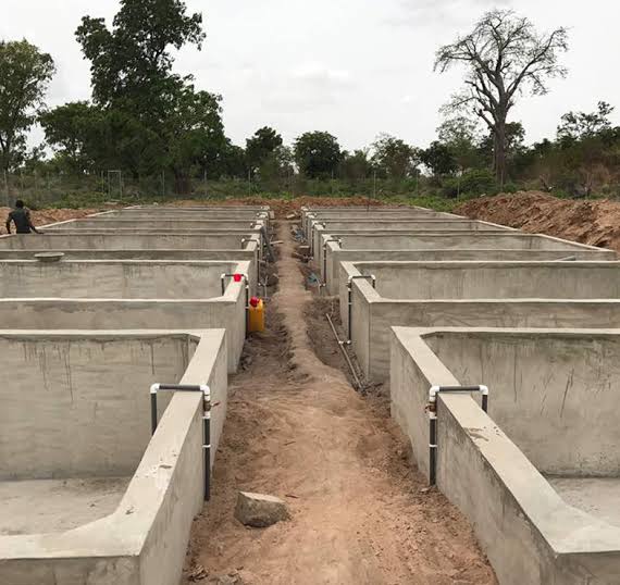 Concrete Fish Pond Construction and Farming Guide