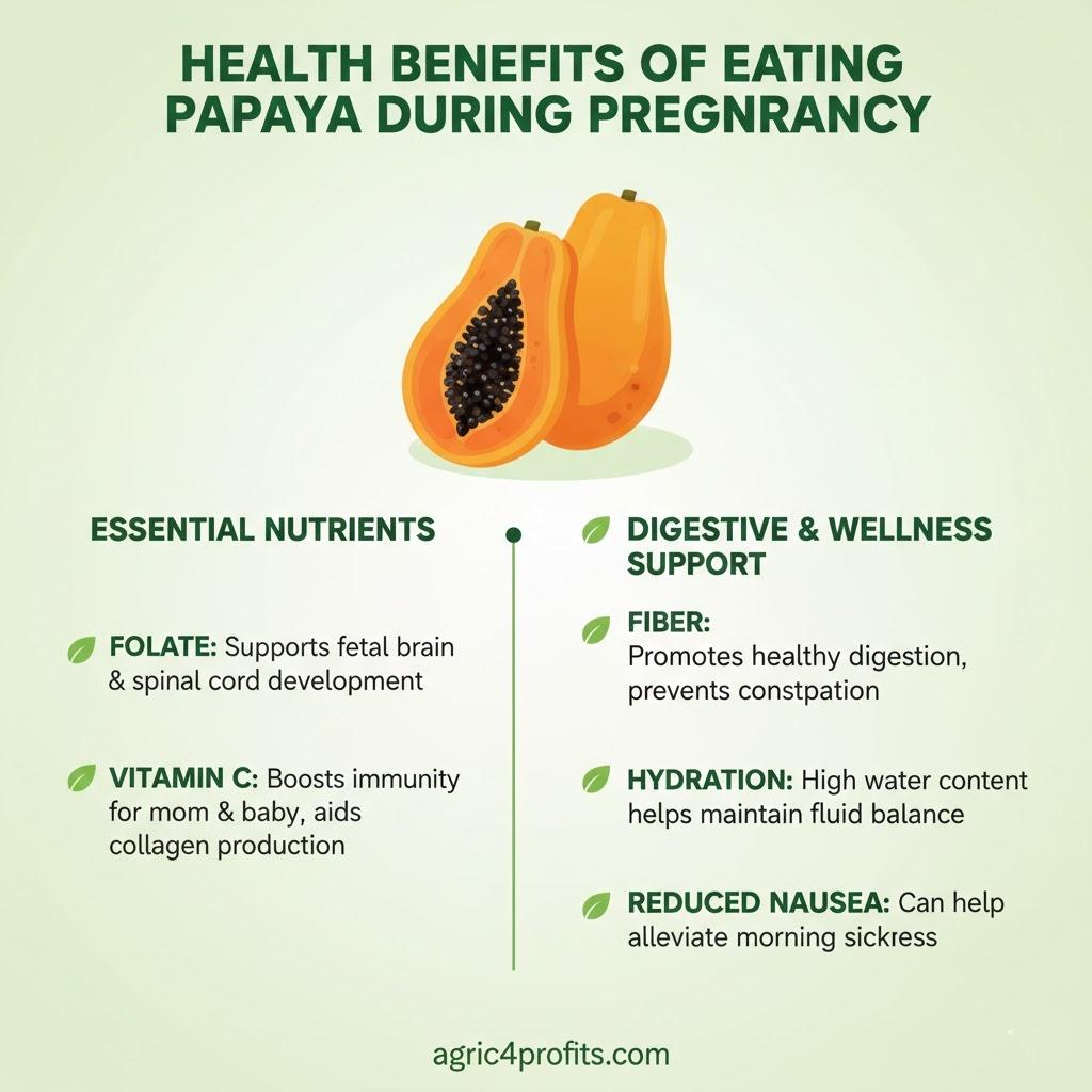 Health Benefits of Eating Pawpaw (Papaya) Fruit during Pregnancy
