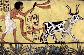 Definition and History of Agriculture Definition and History of Agriculture