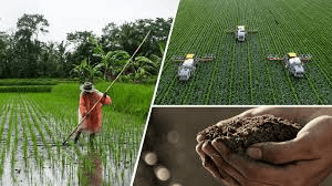 Definition and History of Agriculture Definition and History of Agriculture
