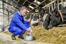Importance of Animal Agriculture Importance of Animal Agriculture