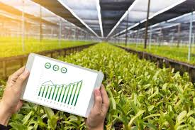 Farm Management Techniques