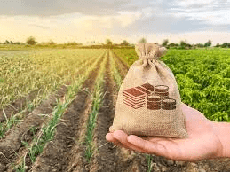 Farm Management Techniques