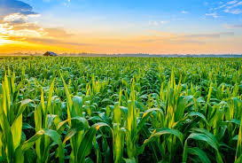 Introduction to Farm Equipment and Technology