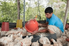 Biosecurity measures to prevent the spread of diseases