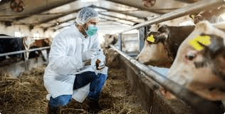Treatment Options for Common Animal Ailments Treatment Options for Common Animal Ailments