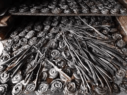 Snake Farming Techniques Snake Farming Techniques
