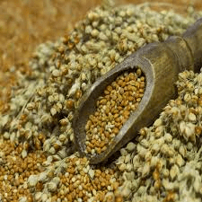 How to Process, Package, and Export Millet How to Process, Package, and Export Millet