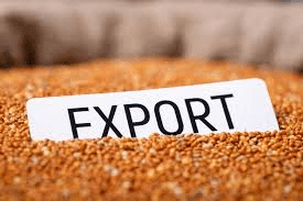 How to Process, Package, and Export Millet How to Process, Package, and Export Millet
