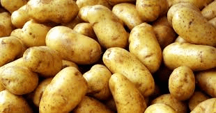 Irish Potatoes (Solanum tuberosum) Comprehensive Care Guide