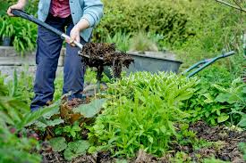 Organic Gardening Tips and Complete Guide