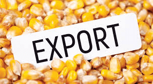 How to Process, Package, and Export Maize (Corn) How to Process, Package, and Export Maize (Corn)