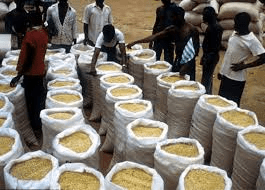 How to Process, Package, and Export Soybeans